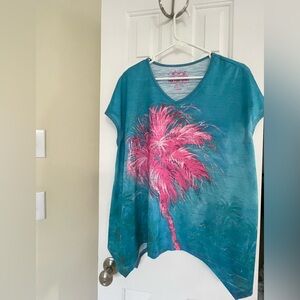 Teal and Pink V-Neck Top